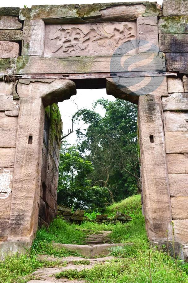 千年古县富顺焕新绿 助力乡村振兴新篇章