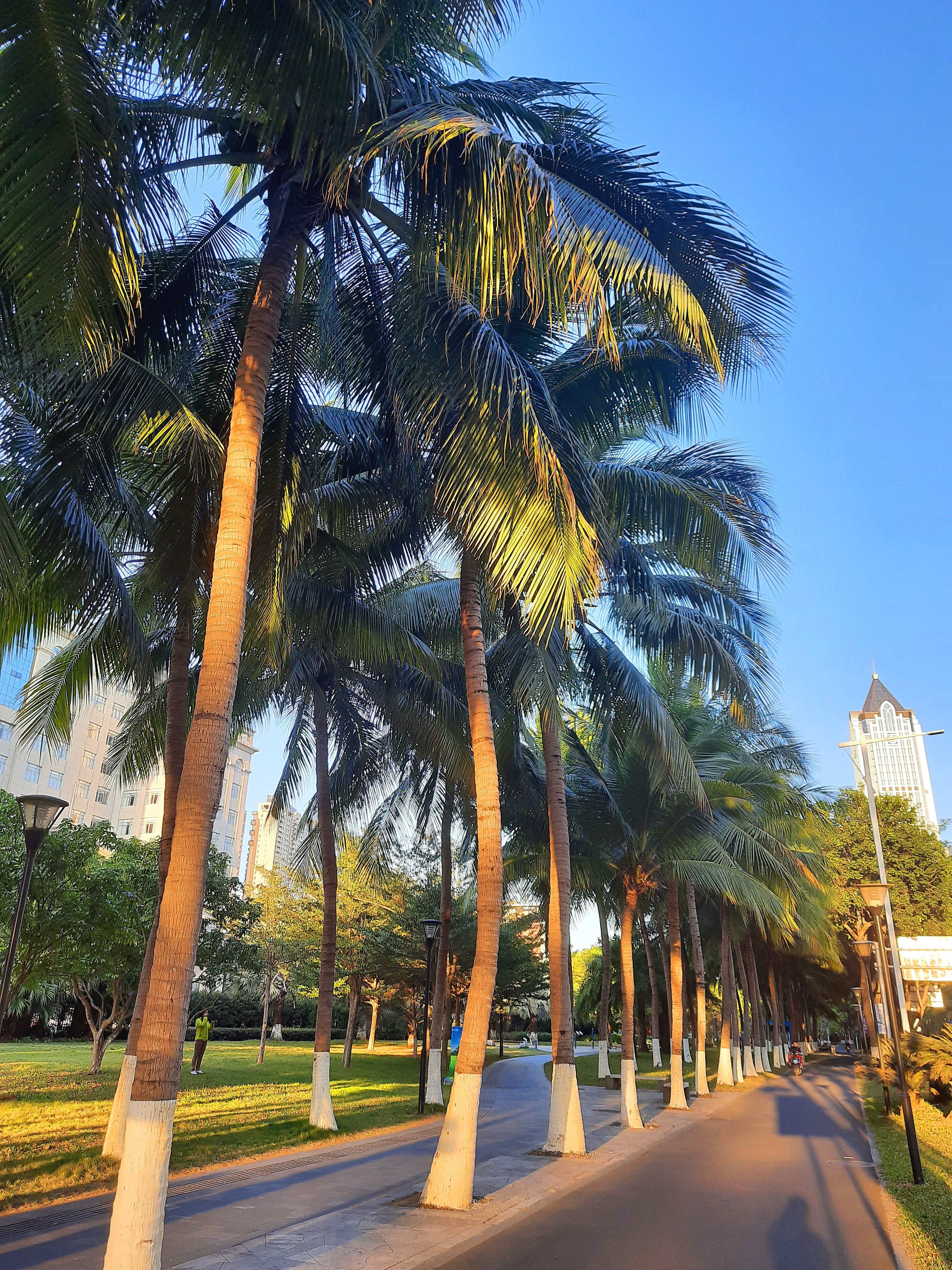 海南,梦想启航之地——自信铸就辉煌之旅