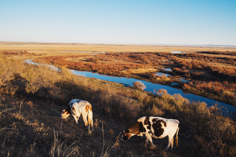 呼伦贝尔，草原荣光与时代印记的交织