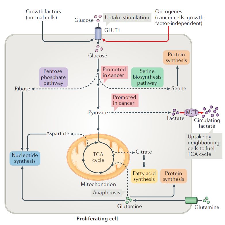 探寻成功之门,开启途径的艺术