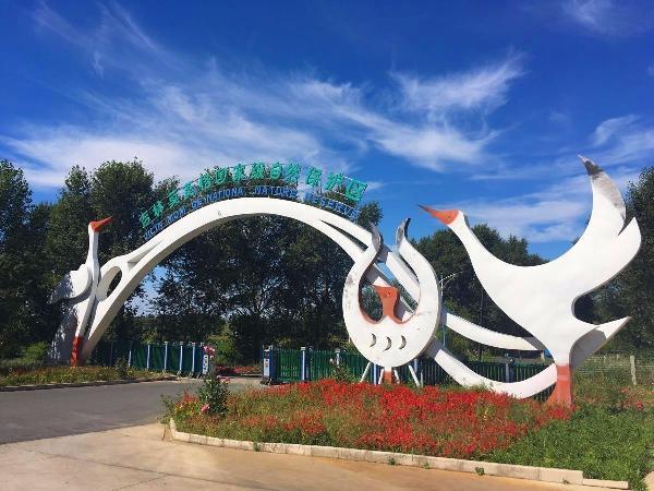 白城之旅,我的深度体验与感悟